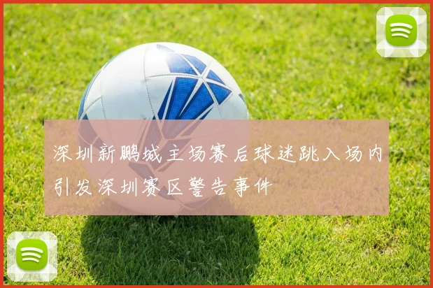 深圳新鹏城主场赛后球迷跳入场内引发深圳赛区警告事件