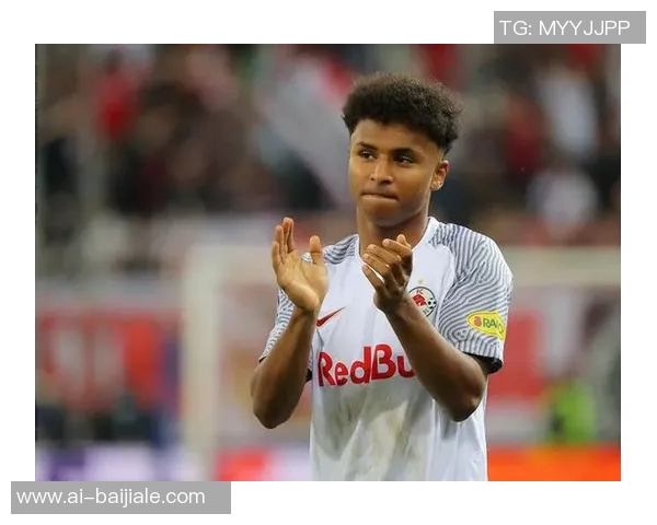 德媒揭示阿德耶米神秘盒子真相并非误购武器背后故事